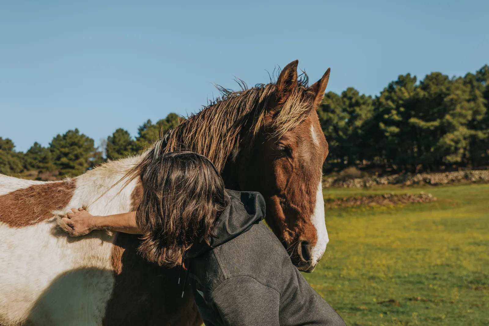 Una persona acompaña a un caballo en el Santuario